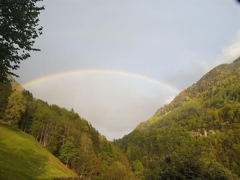 Panorama Jurte Ueber Dem Uri-See A Hotel Sisikon Luaran gambar