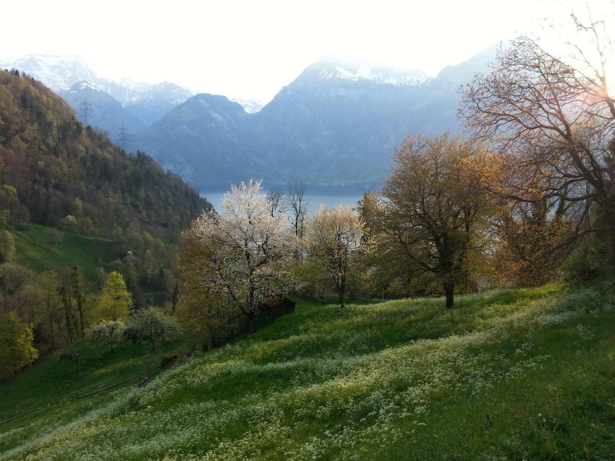 Panorama Jurte Ueber Dem Uri-See A Hotel Sisikon Luaran gambar