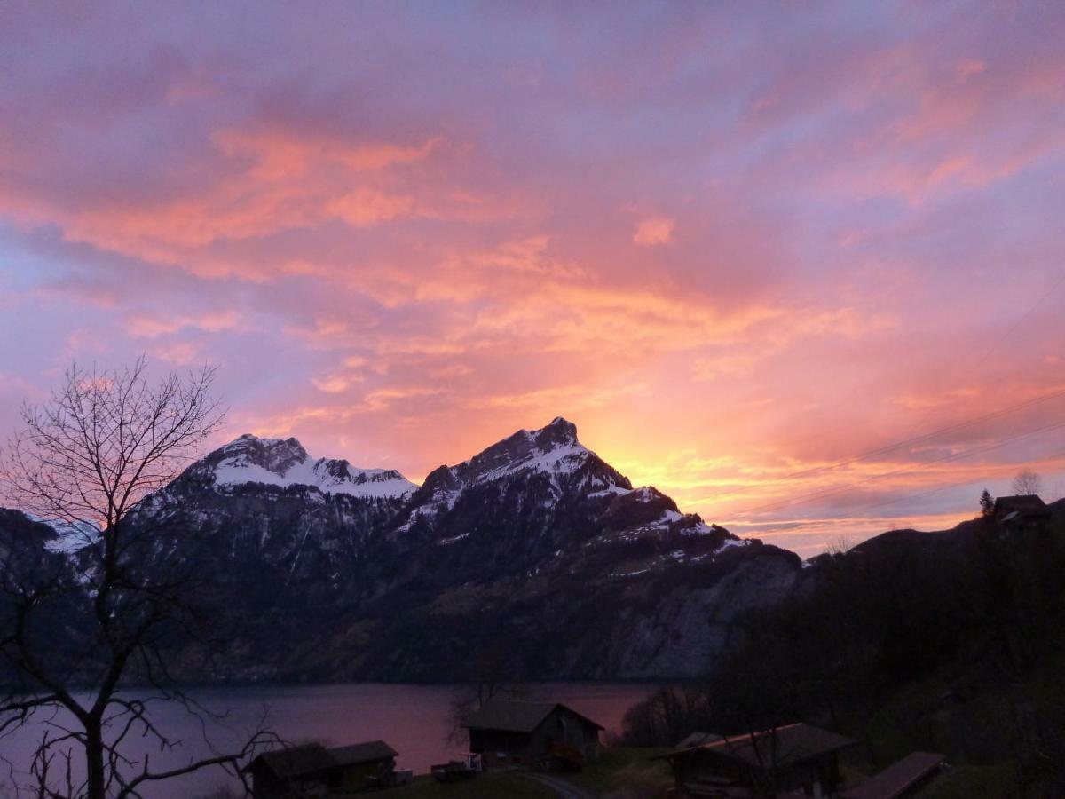 Panorama Jurte Ueber Dem Uri-See A Hotel Sisikon Luaran gambar