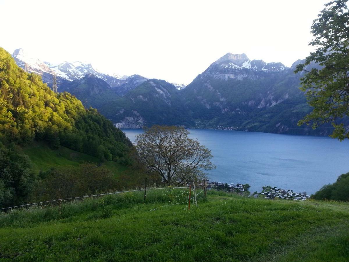 Panorama Jurte Ueber Dem Uri-See A Hotel Sisikon Luaran gambar